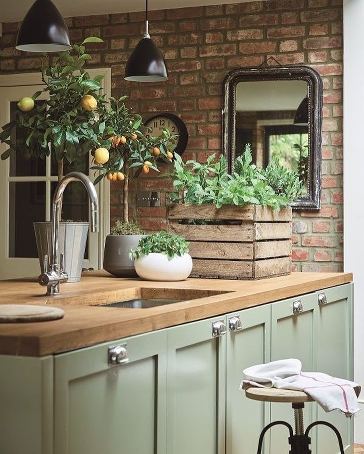 Farmhouse kitchen with potted plants