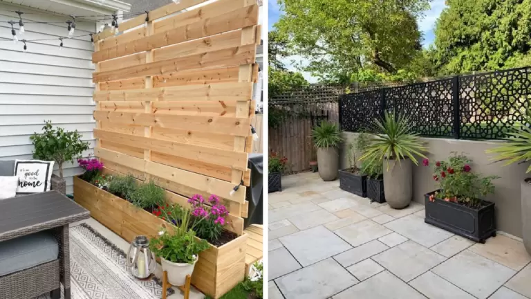 16 Backyard Privacy Ideas From Neighbors