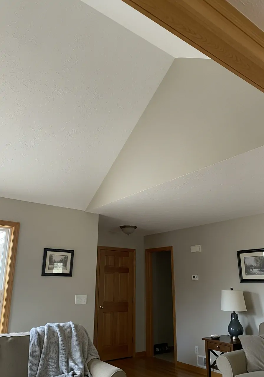 Subtle High Slope Paint Detail - 50 Half Vaulted Ceiling Living Room Ideas That Look Amazing