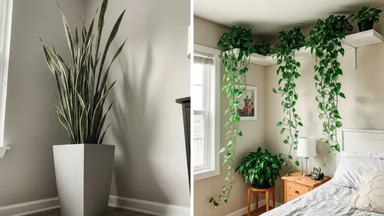 50 Bedroom Plants Decor Ideas