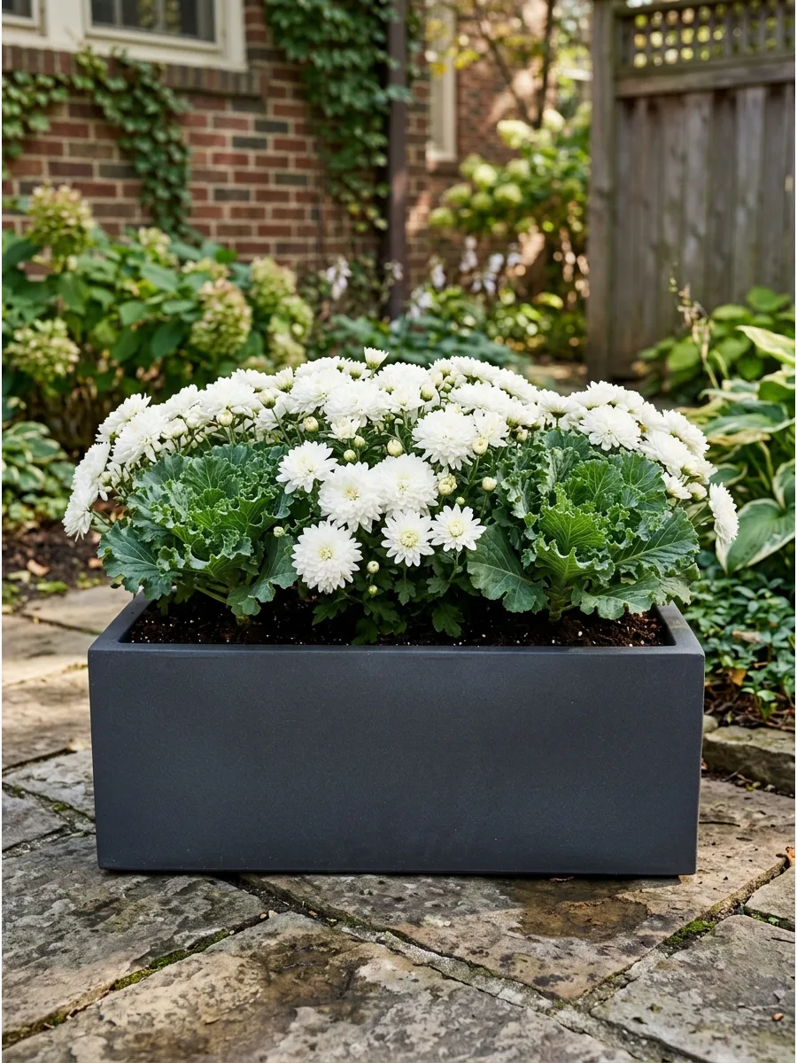 8. White Mum and Green Kale