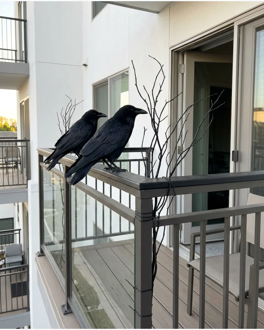 20. Raven Railing Display