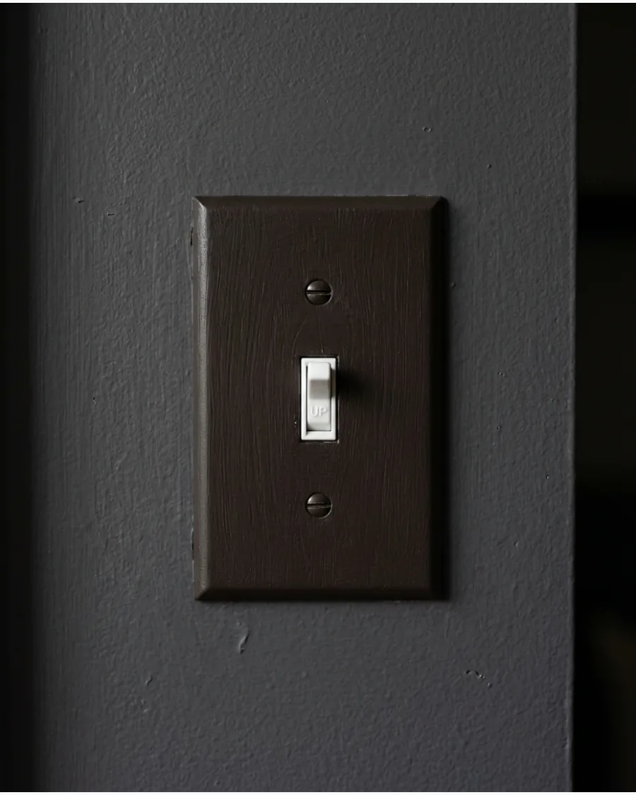 4. Espresso Brown Switch Plate