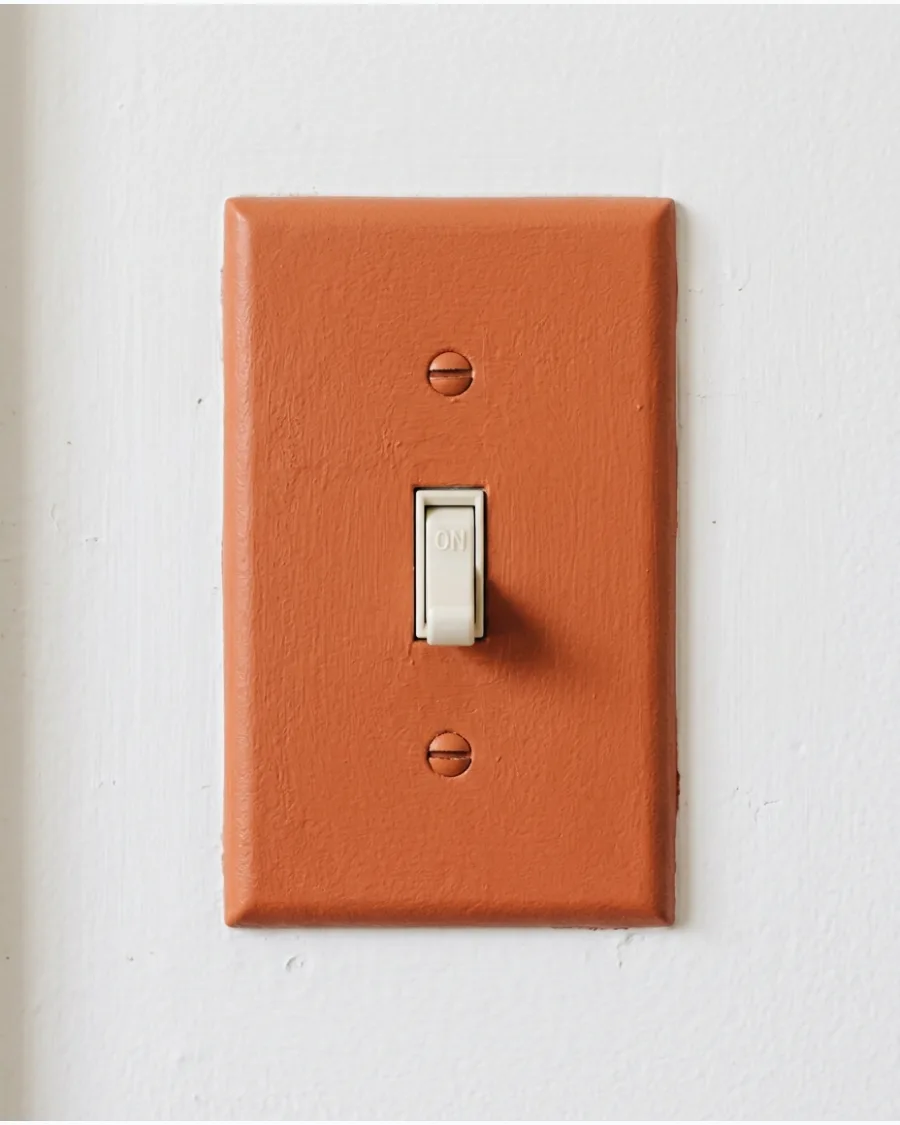 7. Terracotta Switch Plate