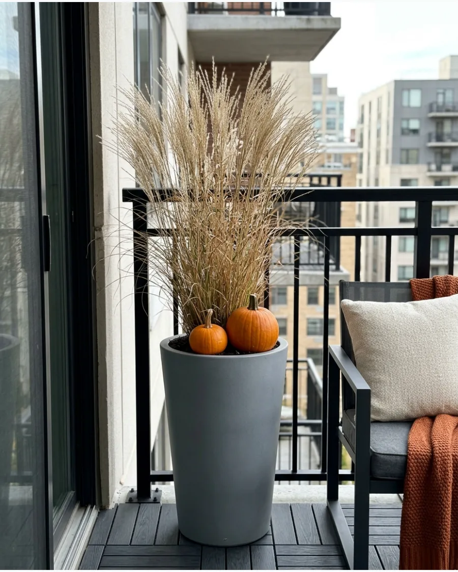 47. Ornamental Grass Display