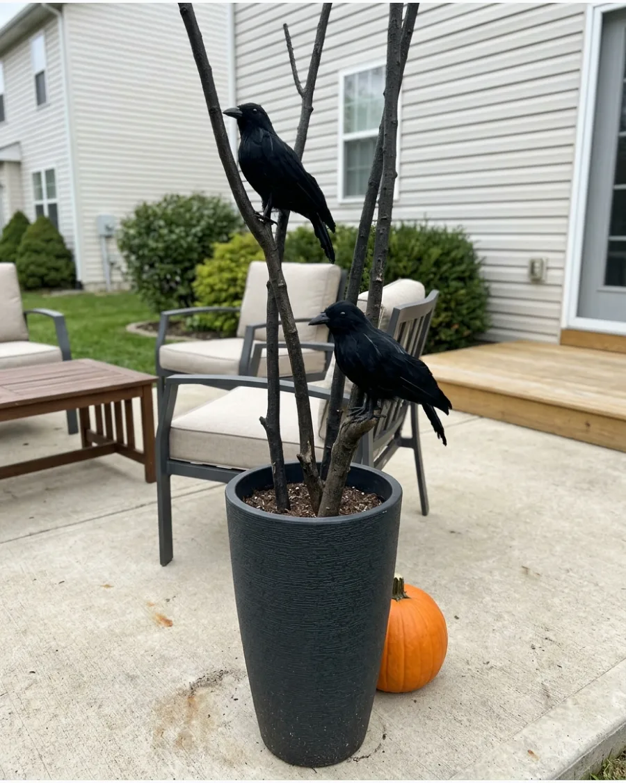 47. Raven Branch Planters