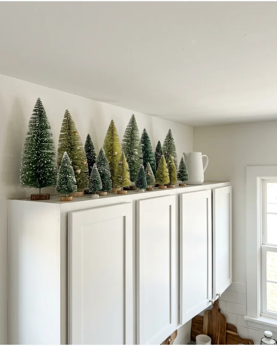 10. Bottle-Brush Tree Collection