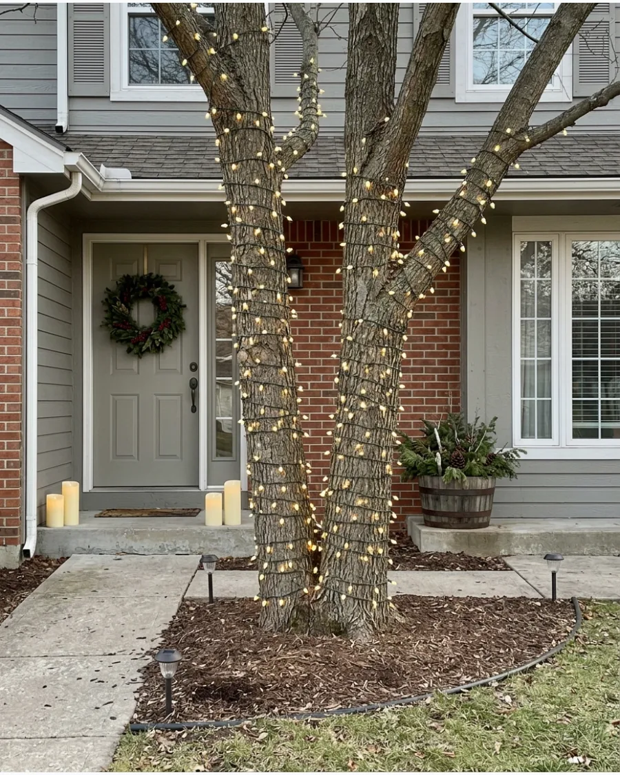 54. Wrapped Tree Trunks With Christmas Lights