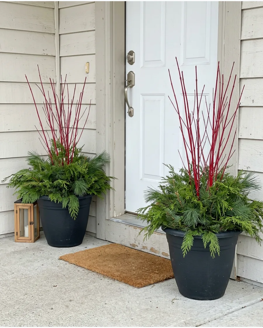 18. DIY Red Twig and Evergreen Porch Pots