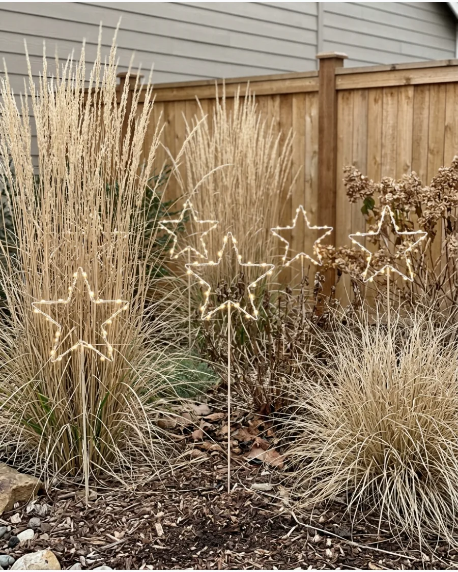 27. Christmas Stars Among Ornamental Grasses