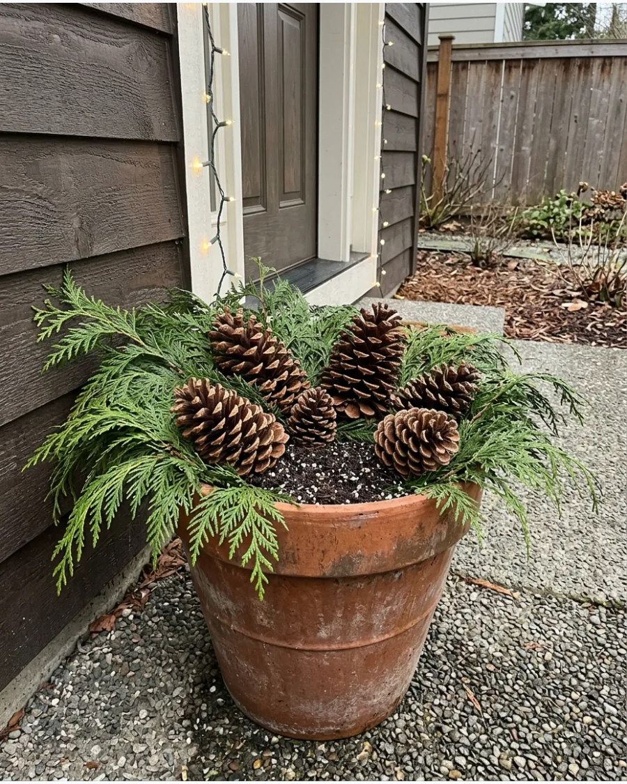 44. Pinecone and Cedar Winter Planters