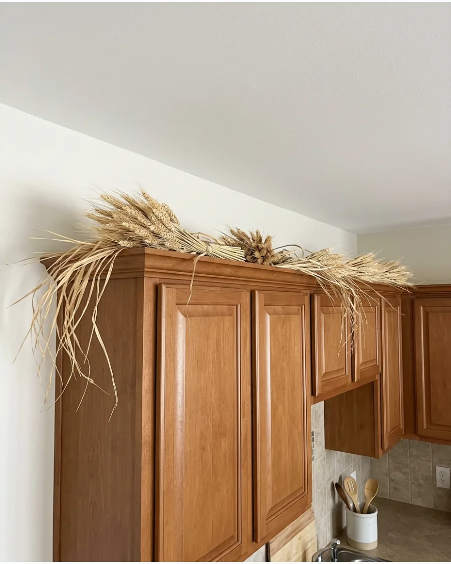 59. Dried Wheat and Grass Texture