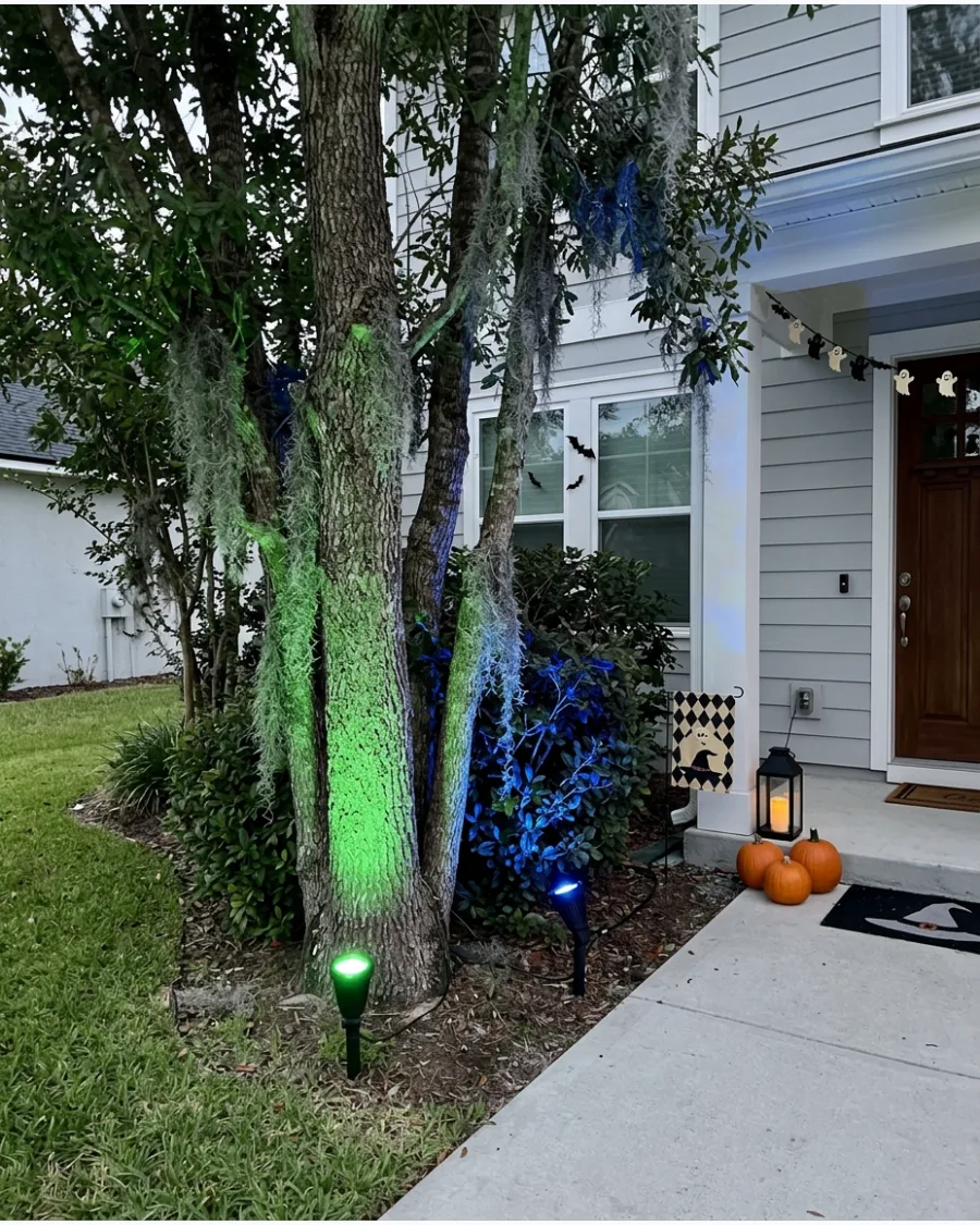 23. Haunted Forest Lighting