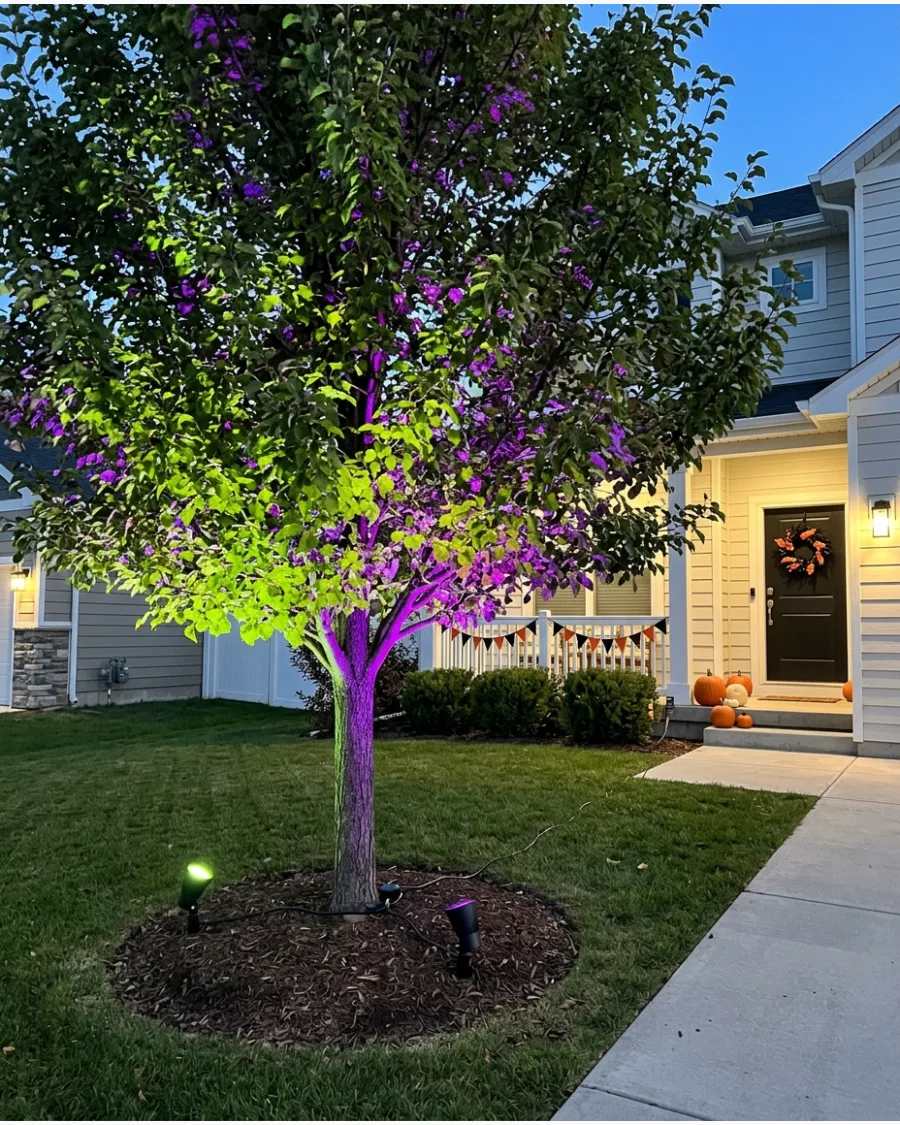 28. Color-Changing Yard Trees