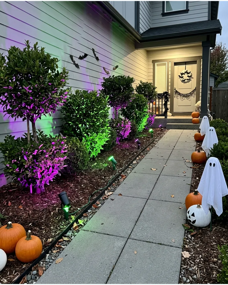 12. Purple and Green Lighted Walkway