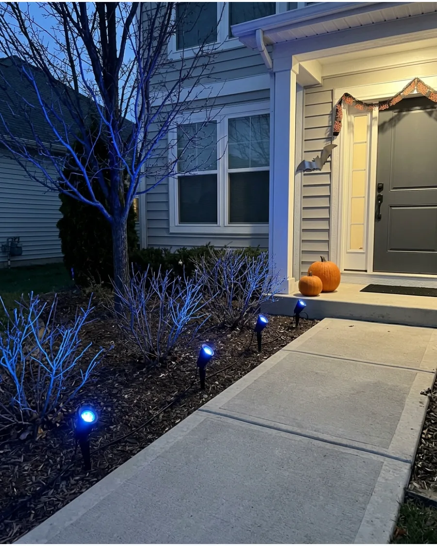 16. Moonlit Blue Walkway