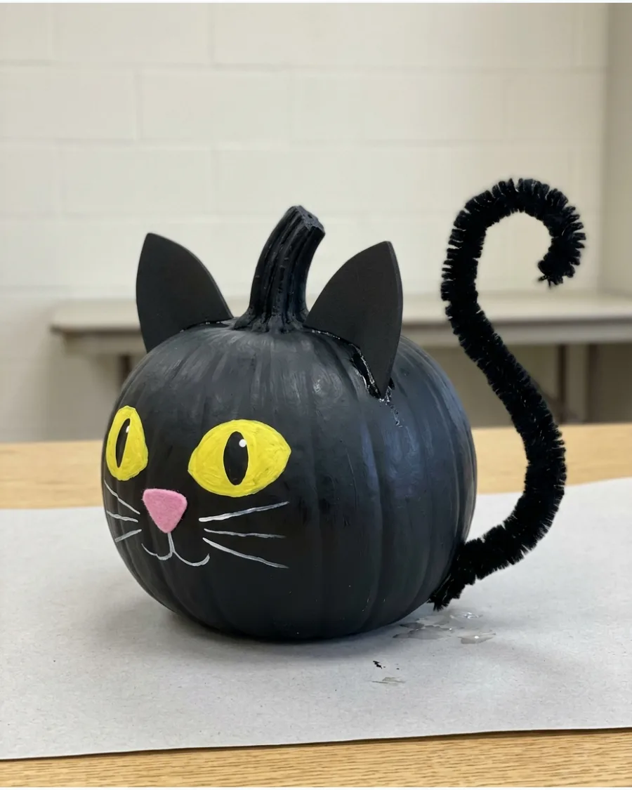 22. Black Cat Pumpkin
