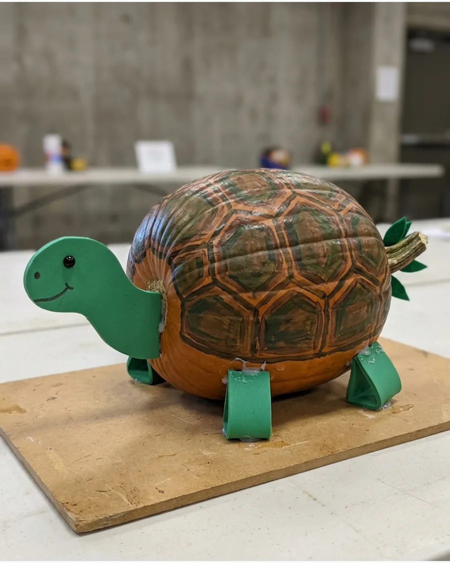 24. Turtle Pumpkin