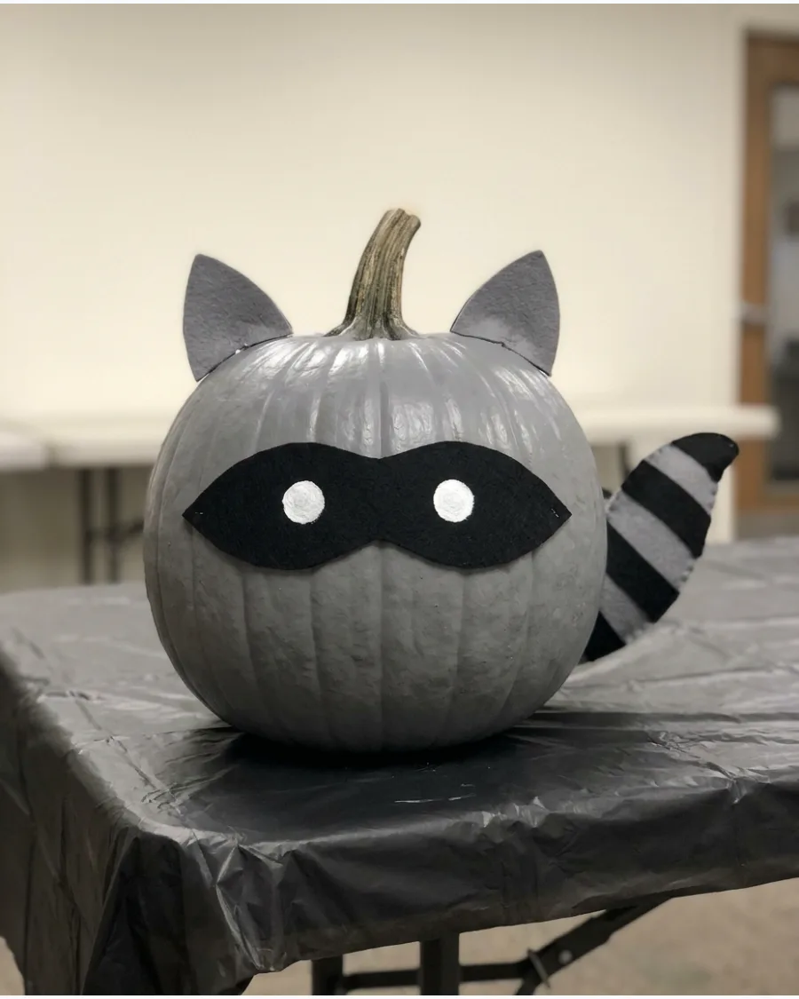 26. Raccoon Pumpkin