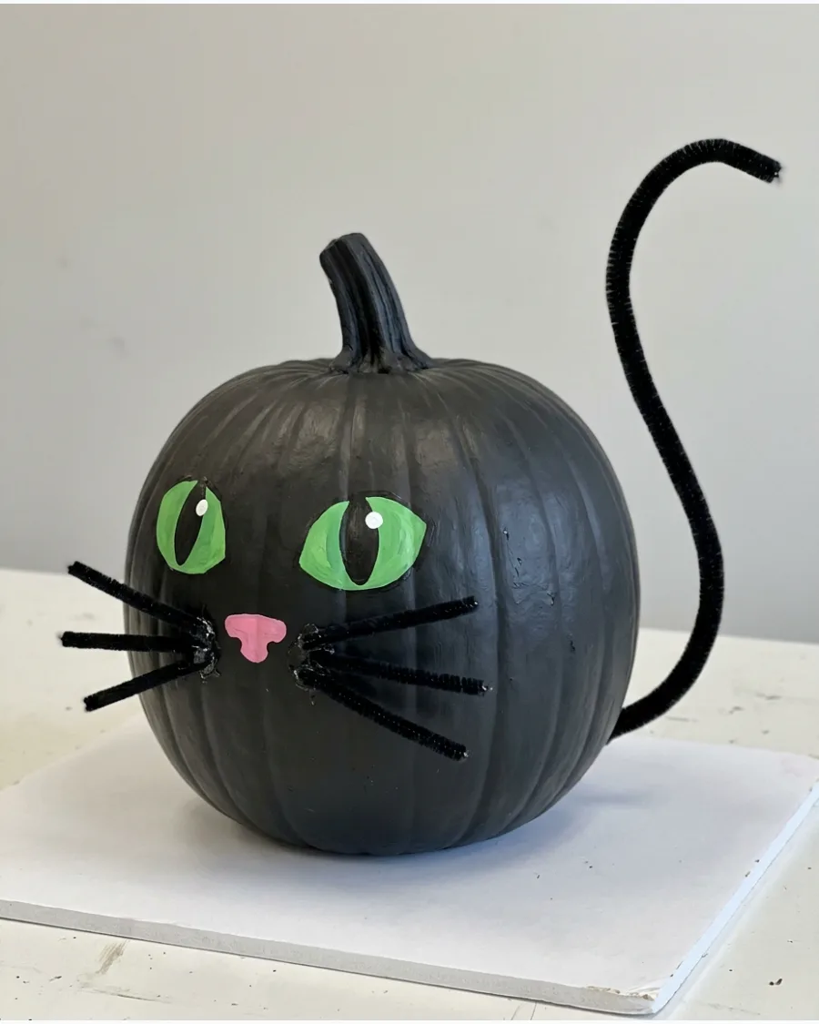 27. Black Cat Pumpkin