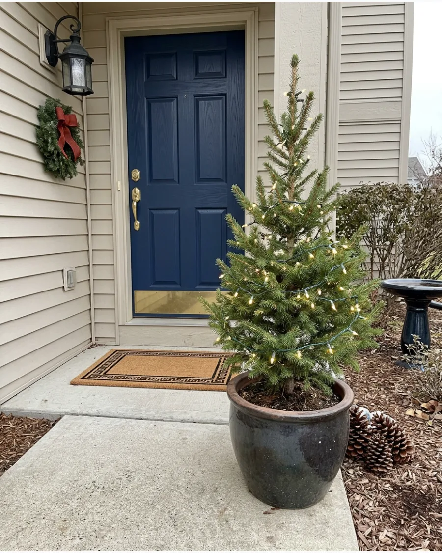 42. Small Outdoor Christmas Tree by the Walkway