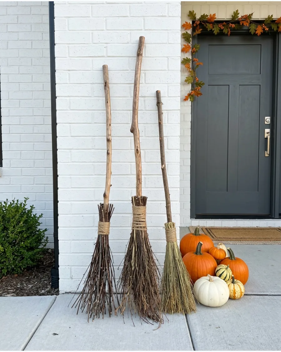 46. Witch Broom Parking Display