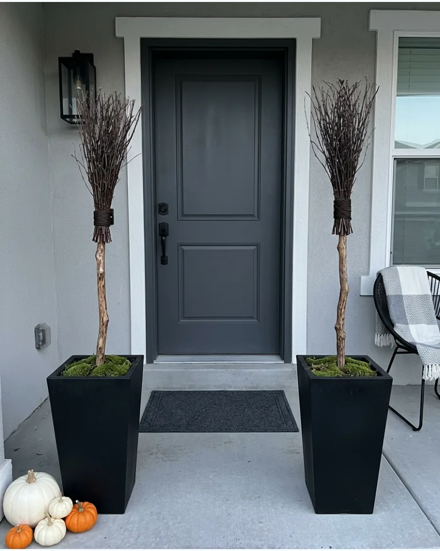 47. Witch Brooms in Planters